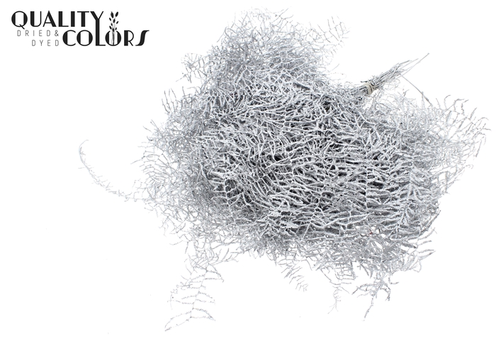 Coralfern preserved 10st per bunch Silver + Glitter