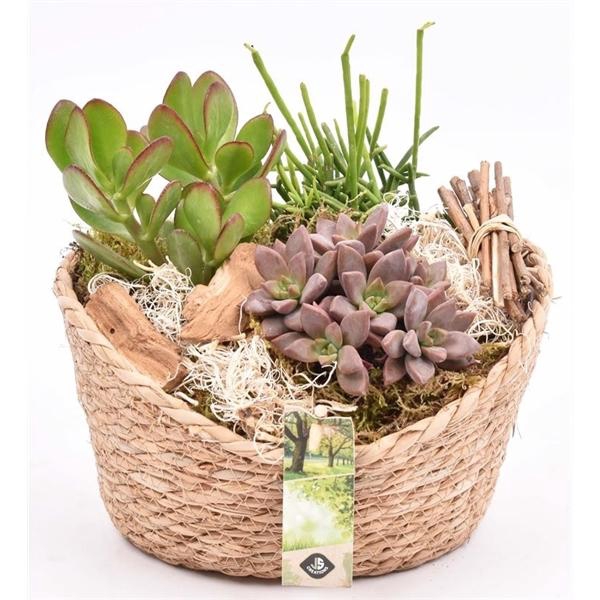 <h4>Jute mand ovaal 23x18.5cm</h4>