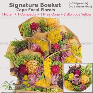 PROTEA PER BOS