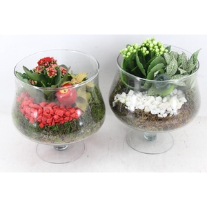 arr2 PL - Glas op voet x6 - rood/wit