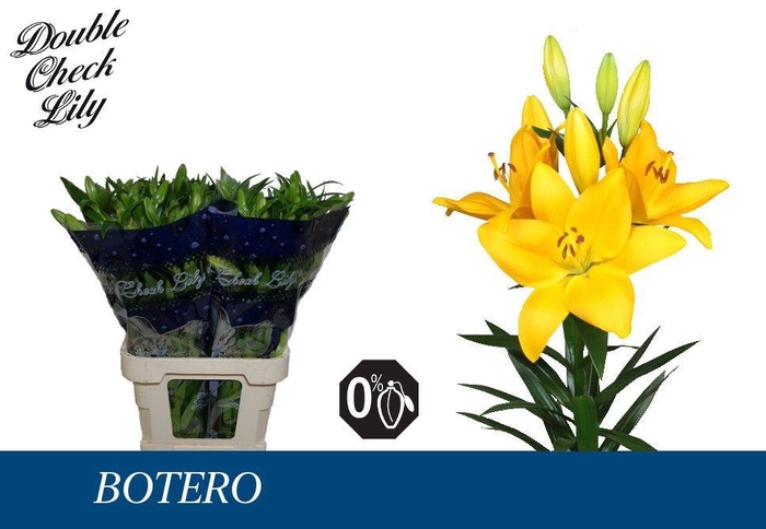 <h4>LI LA BOTERO 4+</h4>