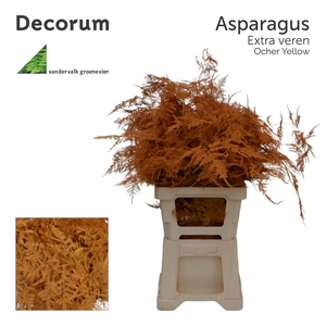 Asp extra veren Ocher yellow
