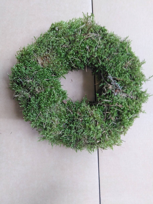 <h4>KRANZ 16 MOOS 25CM</h4>