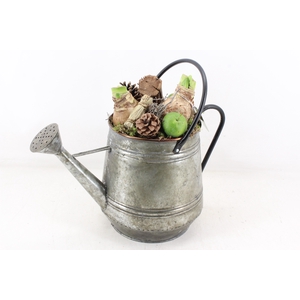 arr4 Amaryllis MB - Zink gieter L x2
