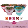 Kalanchoe Bl Gem Kar gemengd Schale