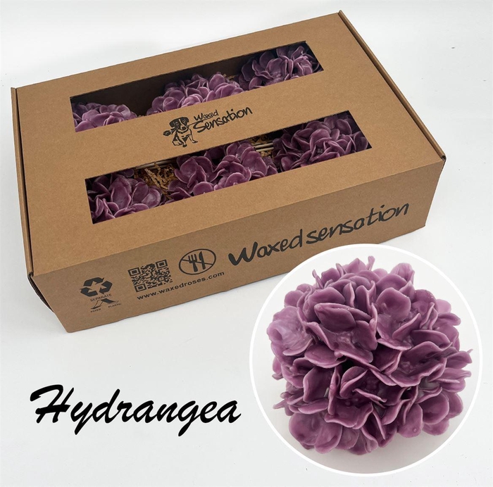 <h4>Zijde Hydr Wx Oud Paars</h4>