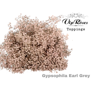 Gyps Pa Vip Earl Grey