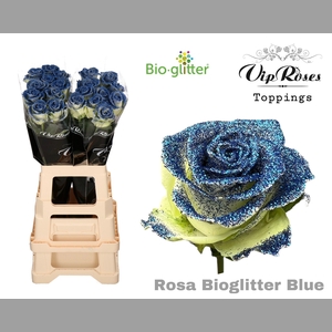 R GR BIO GLITTER BLUE x20