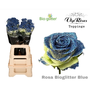 R GR BIO GLITTER BLUE x20