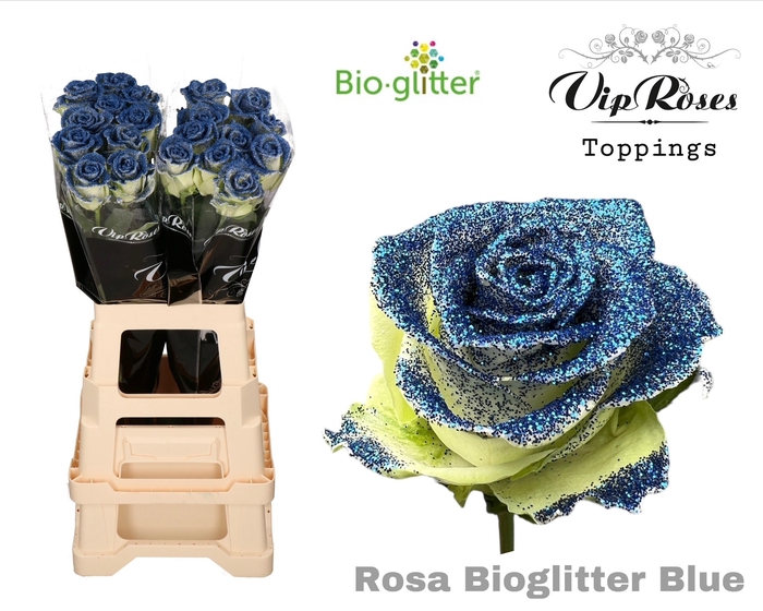 R GR BIO GLITTER BLUE x20