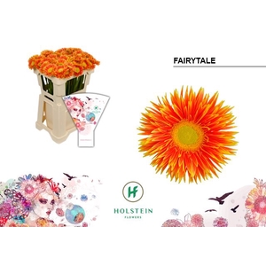 Germini Spider Fairytale Water x40