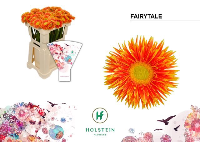 <h4>Germini Spider Fairytale Water x40</h4>