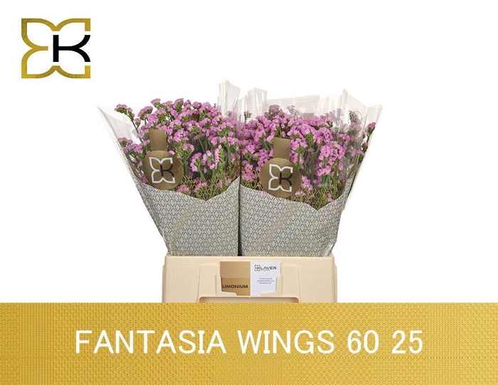<h4>LIM S FANTASIA WINGS</h4>