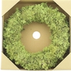 Wreath Egelmoss Kiwi Green
