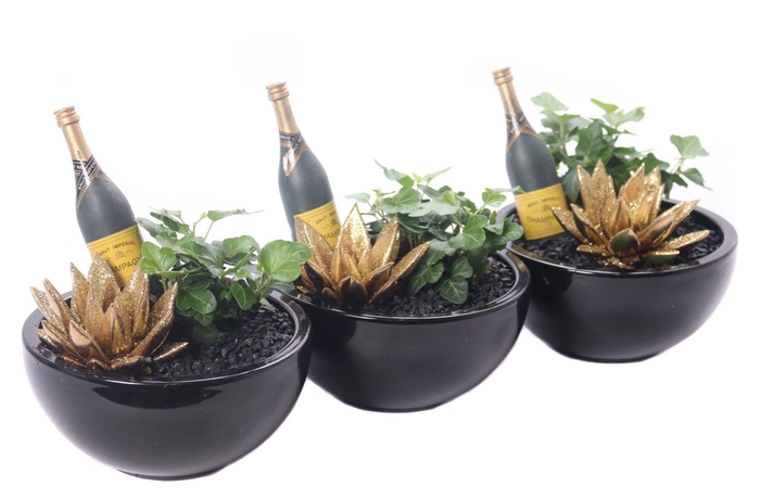 <h4>Opgemaakte silvester schaal met hedera, geverfde echeveria</h4>