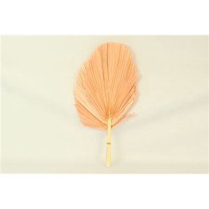 Dried Palm Spear 3pc Xxl Bl Orange Bunch