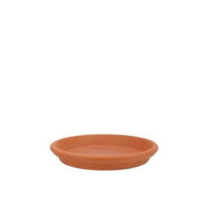 Terracotta Waterdish D19xh3cm