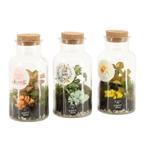 70886: Easter terrarium