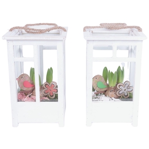 Bulbs Arr. Hyacint Wooden Lantern Pot White Mix/3 Ø19cm 3PP
