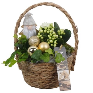 PTCHG5683 Arrangementen Kerst