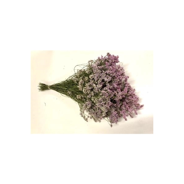 <h4>DROOG STATICE CHINA</h4>