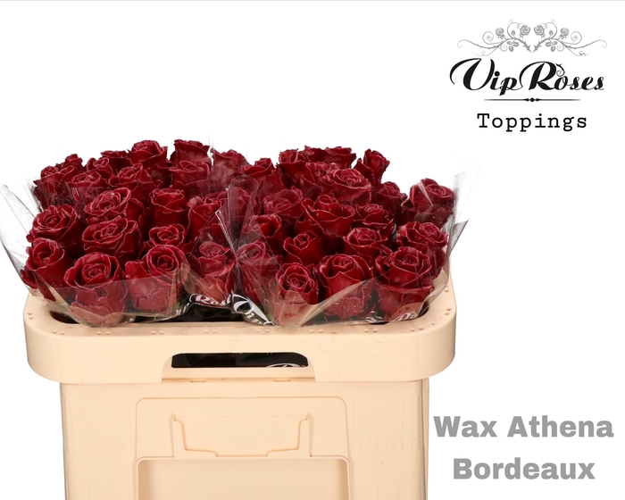 R GR WAX BORDEAUX (ATHENA) x40 (50cm)