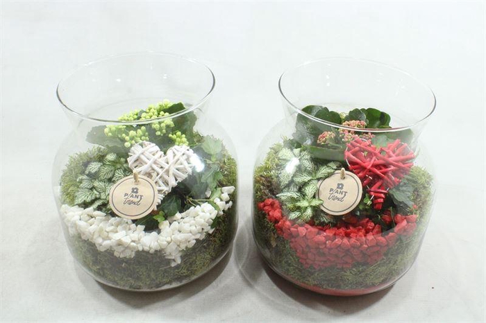 <h4>6906 CANDY JAR INDOOR</h4>