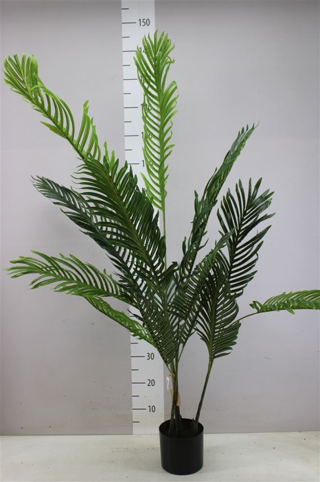 <h4>Areca Palm L-120 Plastic Artificial</h4>