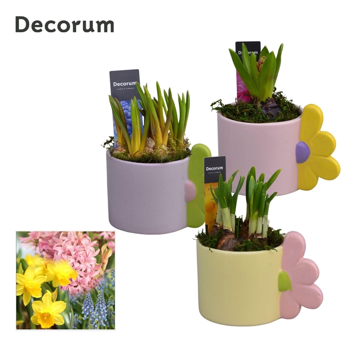 <h4>Bollenmix Bloomie Mug HL15413B</h4>