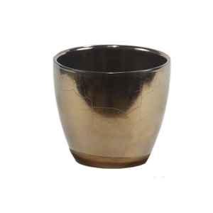 VASO GENOA OURO D14 A13 IMP