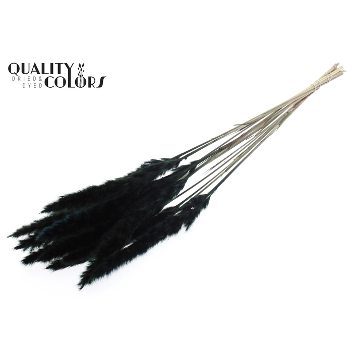 <h4>Fluffy Pampas L80 10 st/bunch Black</h4>