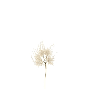 Carnation Spider 55cm