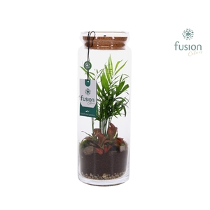 Glazen vaas met Terrarium arrangement met LED