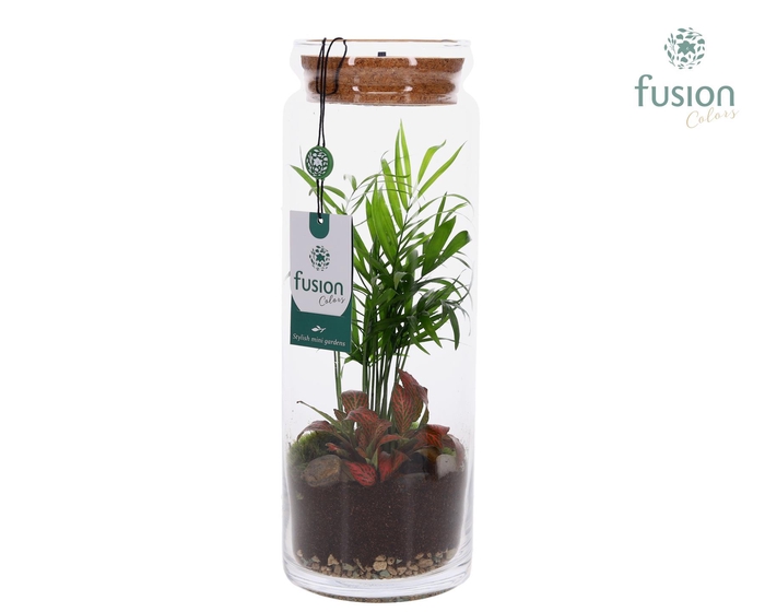 <h4>Glazen vaas met Terrarium arrangement met LED</h4>