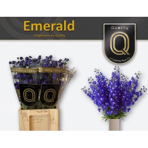 DELPH DU EMERALD 70CM X40
