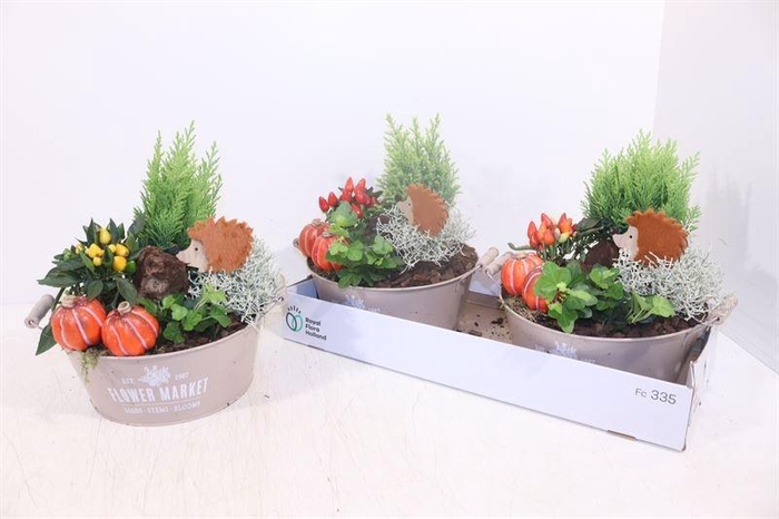 <h4>ARR TUINPLANTEN</h4>