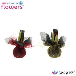 arr4 Amaryllis VH - Wrapz
