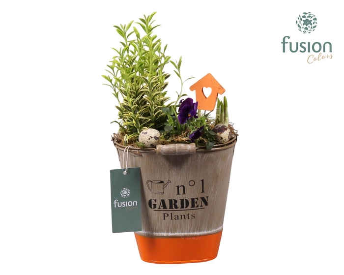 <h4>Pasen zinken emmer ovaal hoog met</h4>