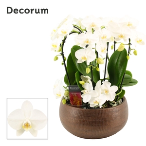 Terra twirl 9 tak symphony white (Deco-collection)