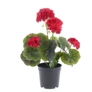 AF Geranium X7 pot L33cm Red