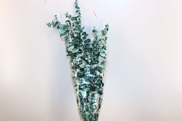 Pres Euca Baby Blue Metal Green Bunch