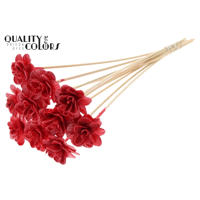 <h4>Beetal Rose 6cm on stem Wax Red</h4>