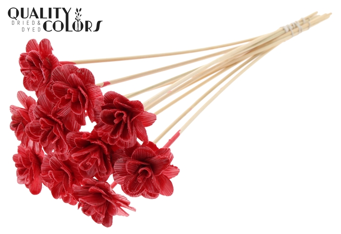 Beetal Rose 6cm on stem Wax Red