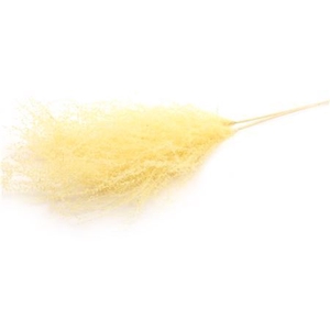 Dried Stipha Feather Yellow Large Bunch
