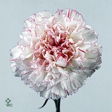 11700: Consideration arrangement