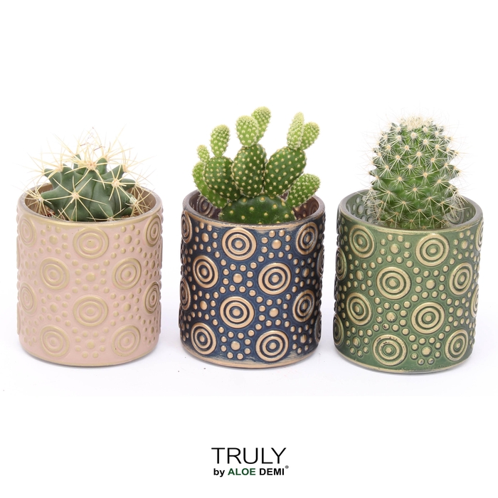 <h4>TRULY Cactus, Serval Glass</h4>