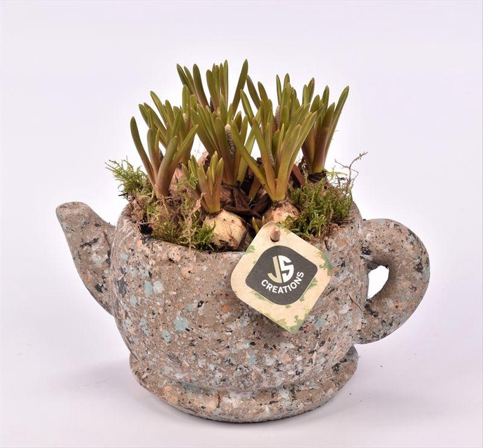 <h4>Cement theepot 22cm</h4>