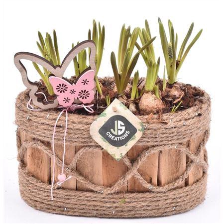 <h4>Muscari 20165 Hout Ovaal Met Touw</h4>