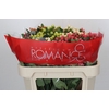 Hypericum Rainbow Romance Spray