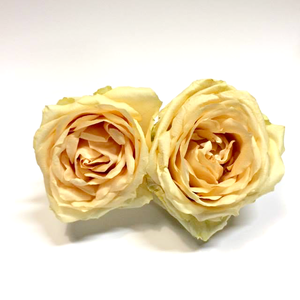 Peach Avalanche 5-5,5